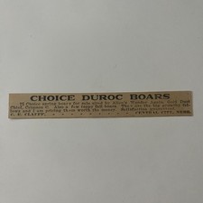 Choice Duroc Boars For Sale CE Clauff Central City NE 1912 Clipping TAJ5-M5 picture