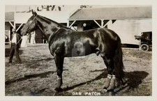 1900's Dan Patch Harness Race Champion RPPC Photo Postcard COPY picture