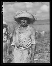Photo:Guanica Puerto Rico 1942 Sugar Worker Burning Cane Field Portrait picture