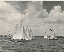 1961 Sailboat Race On Water With Clouds And Flags Photo 8X10 picture