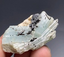 106 Cts Natural Aquamarine With Black Tourmaline Crystal Specimen From Pakistan picture