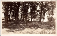 RPPC Man Sits on Fence, Tourist Park, Chatfield Minnesota- 1922 Photo Postcard picture
