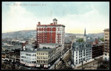 Binghamton NY Bird's Eye View Postcard Souvenir Post Card Co. Germany c1907-1915 picture