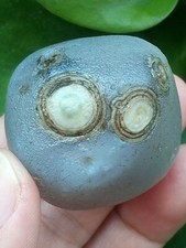48mm/91g Natural Gobi Agate eye agate stone collection picture