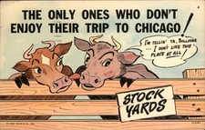 Chicago IL Stockyards Comic Curt Teich Series Anthropomorphic Cows c1940 PC picture