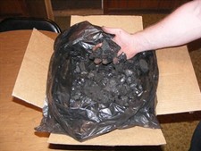 Bituminous Coal 25Lbs picture