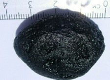 TEKTITE METEORITE LARGE PIECE IMPACT METEOR STONE SPACE ROCK ASTEROID SHARD 20g picture
