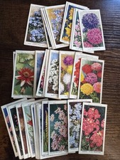 1938 W. D. & H. O. WILLS GARDEN FLOWERS 50 TOBACCO CARD SET picture