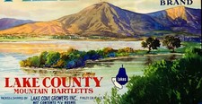 Vintage Pirate's Cove Pear Crate Label 🍐 Finley, CA, Amazing Americana picture
