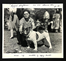 1952 Royal Draftsman Bulldog Contest Show Winner Alliance Ohio Vintage Photo picture