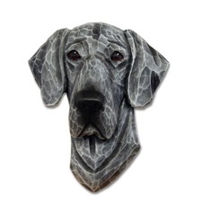 Great Dane Head Plaque Figurine Blue Uncropped picture