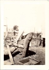 Tough Masculine Man Chopping Wood Snapshot Rural Americana 1930s Vintage Photo picture