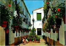 Costa Del Sol Or Cordoba Alleyway With Planters Spain Vintage Postcard TPQ29 picture