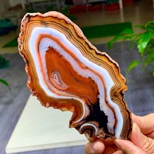 291G Natural Red Stripe Agate Slice Quartz Crystal  Slab Ore Specimen picture
