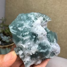 271g NATURAL Green Cubic FLUORITE paragenesis Crystal Cluster Specimen A4776 picture