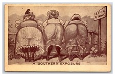 Comic Big Butts Southern Exposure A Fine View 1910 DB Postcard R23 picture