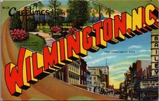 1951 Wilmington NC Large Letter Linen Postcard Greenfield Park Azaleas picture