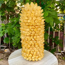 34.81LB New find yellow phantom crystal quartz  cluster mineral specimen healing picture