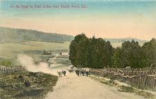 c1907 Postcard; Cows on the Road to Point Lobos from Pacific Grove CA Hand-Color picture