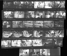 N228 1950S 35MM PHOTO NEGATIVES FAMOUS AMERICAN ACTRESS & MODEL JINX  FALKENBURG picture