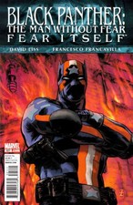 Black Panther Man Without Fear #521 picture