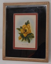 1943 Ted Mundorff Hawaiian Cup of Gold Airbrushed Print Painting Mirror picture