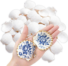 60PCS Natural Scallop Shells for Crafts, 2-3 Inch White Sea Shells picture