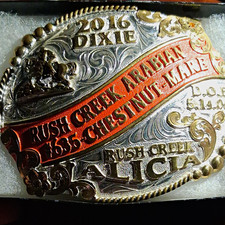 Molly's Custom Silver 2016 Dixie Rush Creek Arabian Chestnut Mare Belt Buckle picture