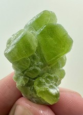 61  Carat Beautiful Peridot Crystal Bunch  From Pakistan picture