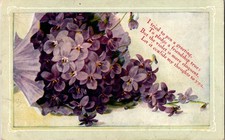 Vintage Violets Floral Postcard c.1910s Posted Sentimental Verse picture