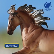 Breyer 2026 Collector Club Horse Guillermo – Limited edition ships from Breyer picture