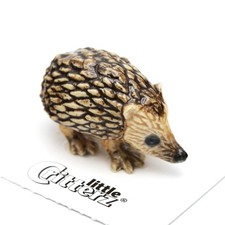 Little Critterz Hedgehog 