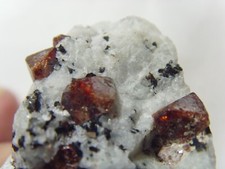 311 Carat many Zircon crystal mineral specimen n matrix mother rock healer 53192 picture
