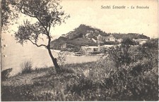 Sestri Levante Italy La Penisola Scenic View Divided Back Postcard c. 1910 picture