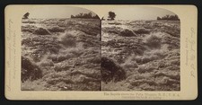 Photo:The rapids above the falls, Niagara, N.Y., U.S.A. picture