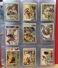 Rare 1950 Topps Bring Em Back Alive Complete 100 Card Master Set Mid-High Grade picture