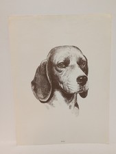 Vintage Beagle Portrait Purina Dog Chow 8 5/8