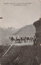 Mule Train Silverton CO Colorado Gold Silver Mine Mining Donkey Vtg Postcard 16A picture