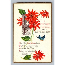 Vintage Christmas Poinsettia Postcard Winter Scene Blue Bird Embossed picture