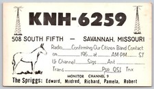 Vintage KNH-6259 CB Radio QSL Card Savannah MO Spriggs Family Donkey Mule C126 picture