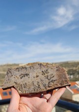 A beautiful  stone from  Sinai mountain with a burning bush  picture