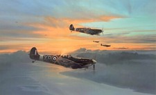 Eagle Force by Robert Taylor aviation art signed by 10 Eagle Squadron Pilots picture