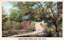New Era MI Michigan Oceana County Rothbury to Flint 1918 Cover Vtg Postcard 7A picture