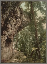 Photo:Niagara Glen Footpath c1898 picture