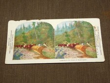 VINTAGE STEREOVIEW STEREOSCOPE CARD 1906  LOGGING IN WASHINGTON STATE picture