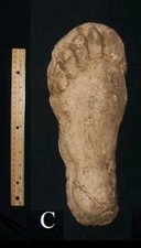 1982 Grays Harbor Heryford Bigfoot print cast 
