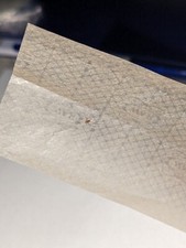 Fly Trapped In A Raw Rolling Paper picture