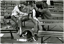 Tompkins Sq. Park by  James Jowers (American b. 1938) picture