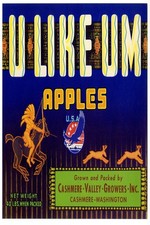 🍎 U Like Um Apples Poster - 24x36” - Vintage 1950s Agriculture Ad 🚜 - Retro picture