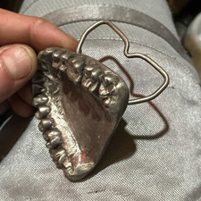 Bergamot Brass Works Dentures Teeth Jaw Novelty Belt Buckle Dentistry picture